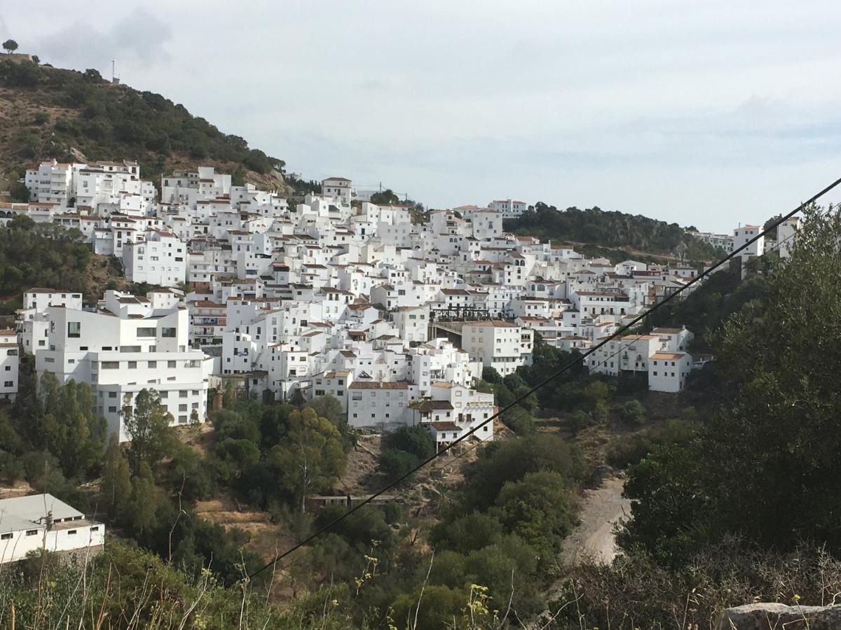 Casares Vacations Apartment Luaran gambar
